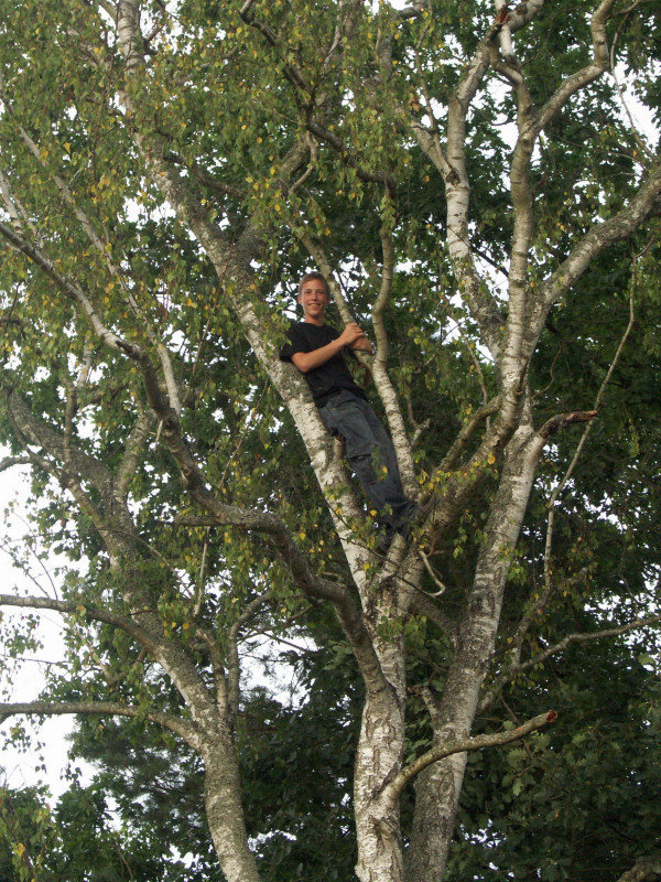 mb080801190.jpg